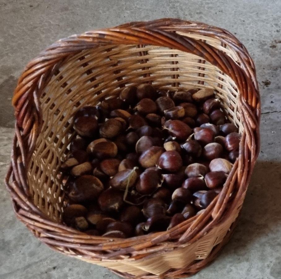 فيلا Ca La Pauleta سانت إلاري ساكالم المظهر الخارجي الصورة
